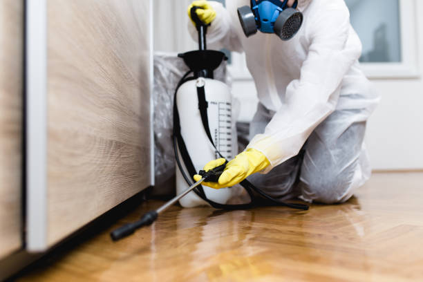 Denton, MD Pest Control Company