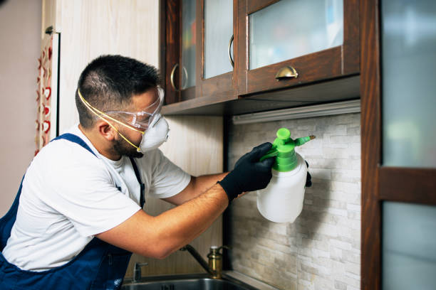 Best Pest Control for Businesses  in Denton, MD