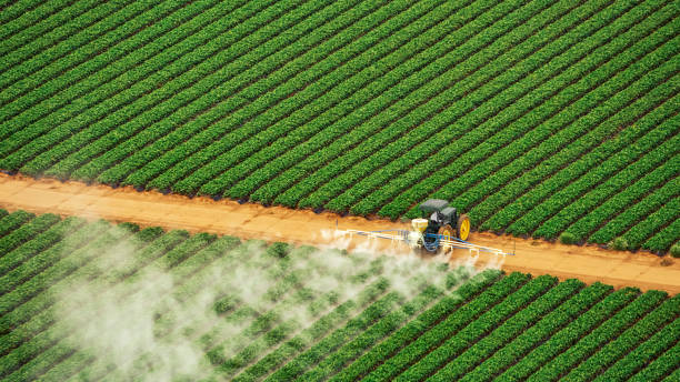 Best Affordable Exterminators  in Denton, MD