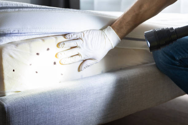 Pest Control for Restaurants in Denton, MD